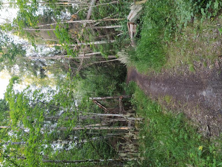 The daily commute to class