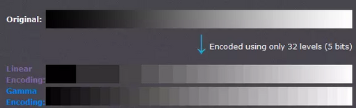 Linear vs non-linear encoding
